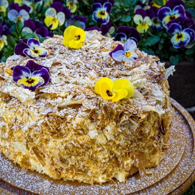 Нашы Напалеоны