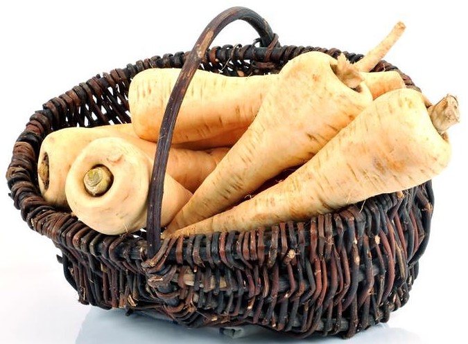 Пастернак - белорусский корнеплод?